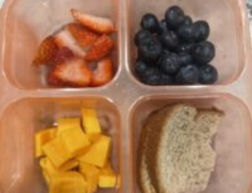 Toddler Snack Boxes Perfect For Busy Moms